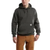 Carhartt Sweatshirts: Men's 100615 306 Peat Paxton Rain Defender Hooded Sweatshirt